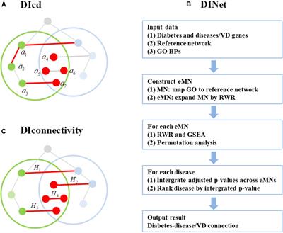 Revealing the Interactions Between Diabetes, Diabetes-Related Diseases, and Cancers Based on the Network Connectivity of Their Related Genes